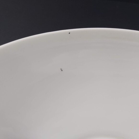 Victoria Moritz Zdekauer Altrohlau Czechoslovakia Porcelain Floral Serving Bowl - Picture 13 of 14